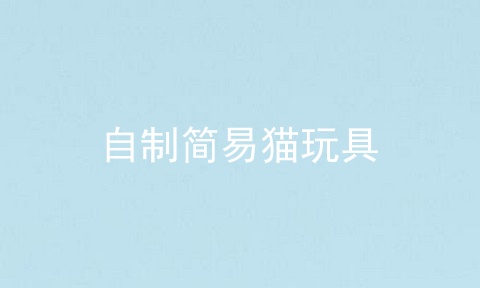 自制简易猫玩具