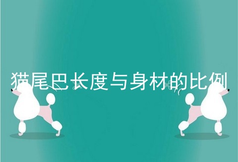 猫尾巴长度与身材的比例