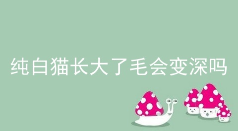 纯白猫长大了毛会变深吗