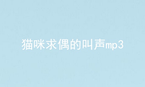 猫咪求偶的叫声mp3
