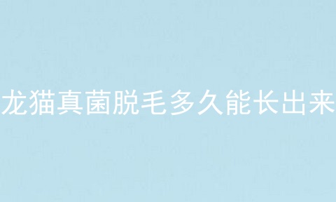 龙猫真菌脱毛多久能长出来