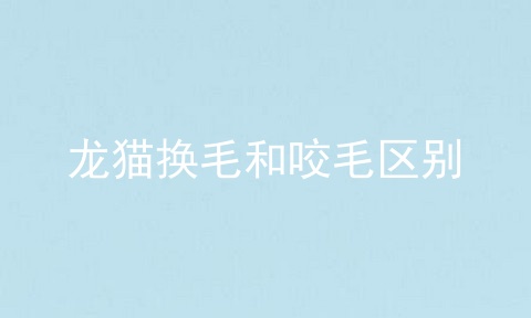 龙猫换毛和咬毛区别
