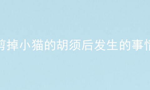 剪掉小猫的胡须后发生的事情