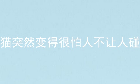 猫突然变得很怕人不让人碰