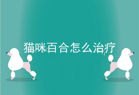 猫咪百合怎么治疗