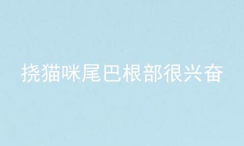 挠猫咪尾巴根部很兴奋