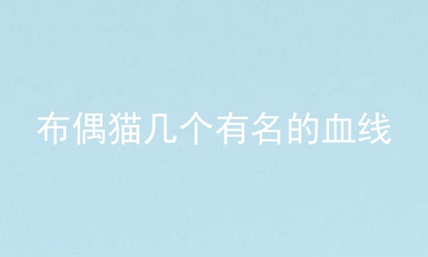 布偶猫几个有名的血线