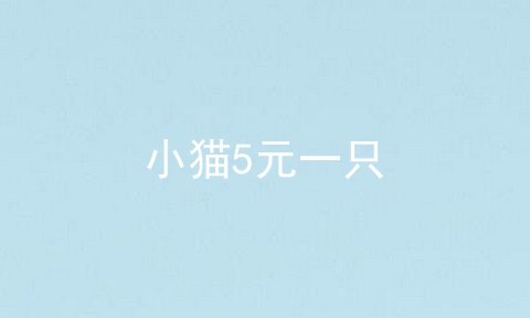 小猫5元一只