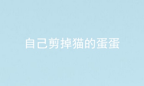 自己剪掉猫的蛋蛋