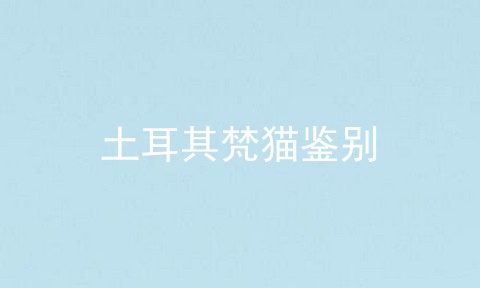 土耳其梵猫鉴别