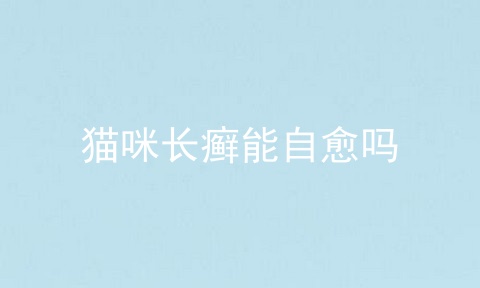 猫咪长癣能自愈吗