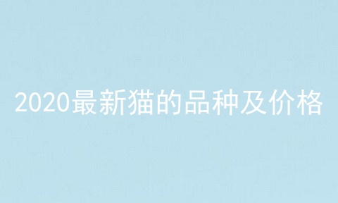 2020最新猫的品种及价格