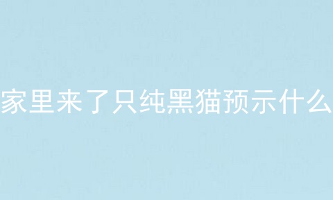 家里来了只纯黑猫预示什么