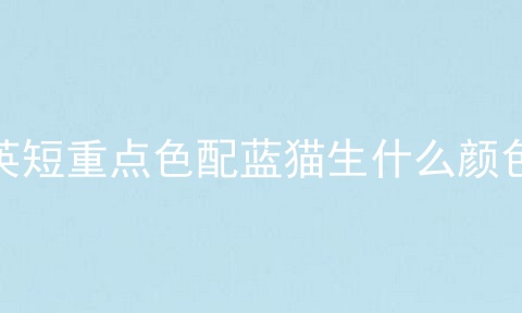 英短重点色配蓝猫生什么颜色