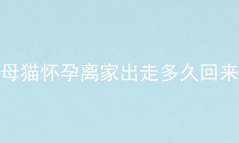 母猫怀孕离家出走多久回来