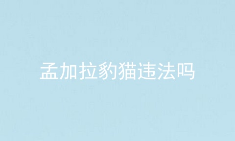 孟加拉豹猫违法吗