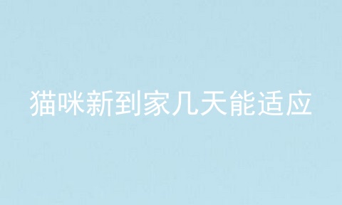 猫咪新到家几天能适应