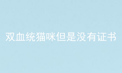 双血统猫咪但是没有证书
