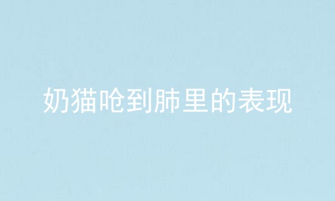 奶猫呛到肺里的表现