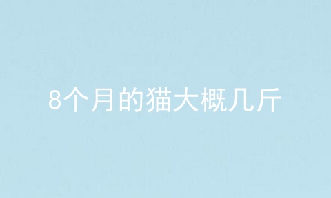 8个月的猫大概几斤