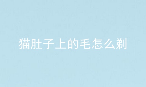 猫肚子上的毛怎么剃