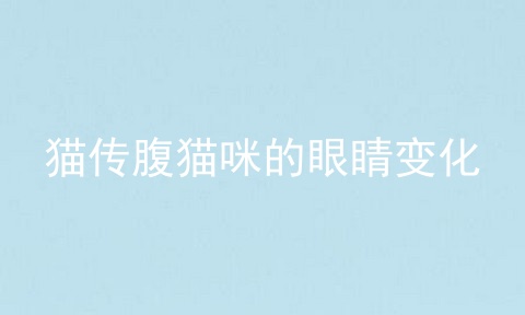猫传腹猫咪的眼睛变化