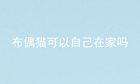 布偶猫可以自己在家吗