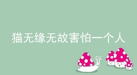 猫无缘无故害怕一个人