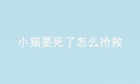 小猫要死了怎么抢救