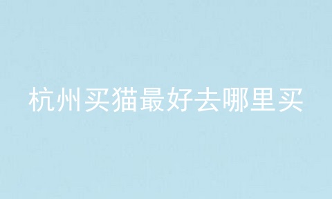 杭州买猫最好去哪里买