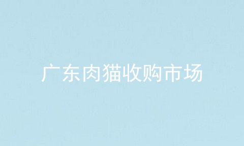 广东肉猫收购市场