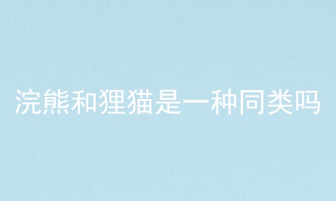 浣熊和狸猫是一种同类吗