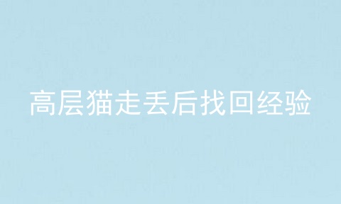高层猫走丢后找回经验