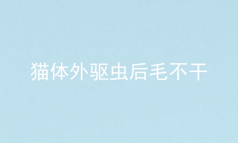 猫体外驱虫后毛不干