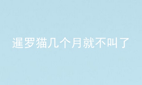 暹罗猫几个月就不叫了