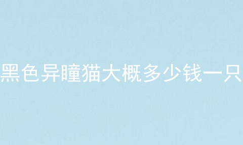 黑色异瞳猫大概多少钱一只
