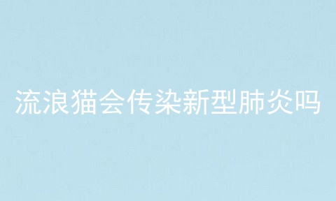 流浪猫会传染新型肺炎吗