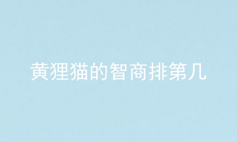 黄狸猫的智商排第几