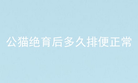 公猫绝育后多久排便正常