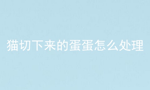 猫切下来的蛋蛋怎么处理