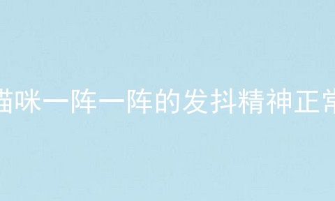 猫咪一阵一阵的发抖精神正常