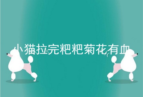 小猫拉完粑粑菊花有血