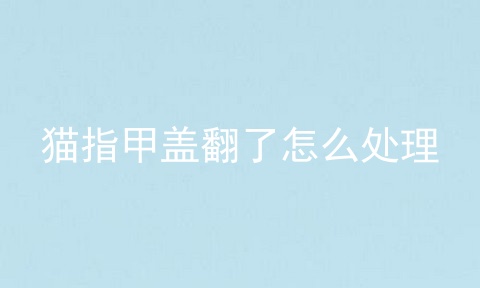 猫指甲盖翻了怎么处理