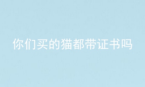 你们买的猫都带证书吗