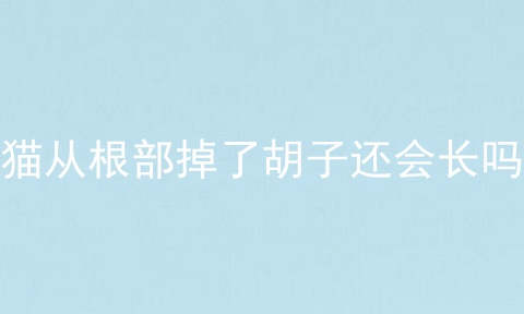 猫从根部掉了胡子还会长吗