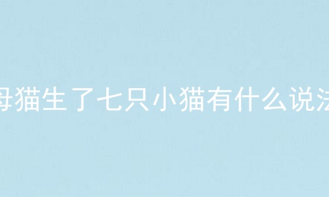 母猫生了七只小猫有什么说法