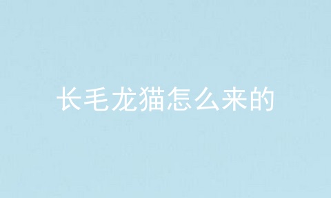 长毛龙猫怎么来的