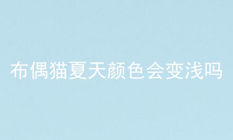 布偶猫夏天颜色会变浅吗
