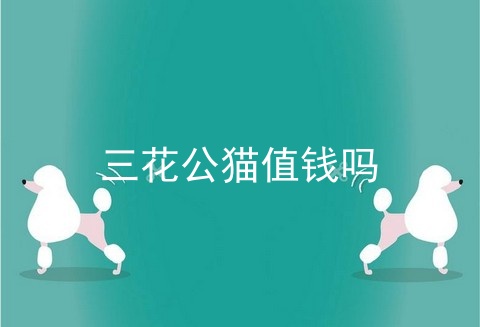 三花公猫值钱吗