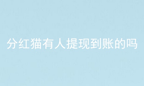 分红猫有人提现到账的吗